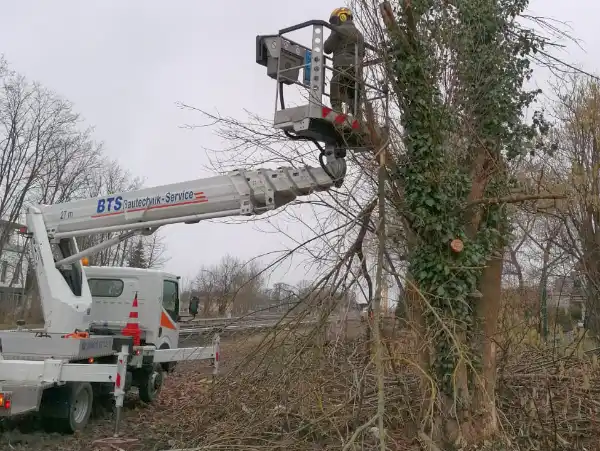 Hubbühne für Baumfällung